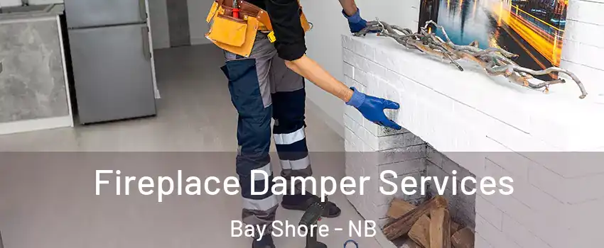 Fireplace Damper Services Bay Shore - NB