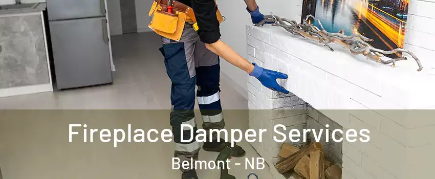  Fireplace Damper Services Belmont - NB