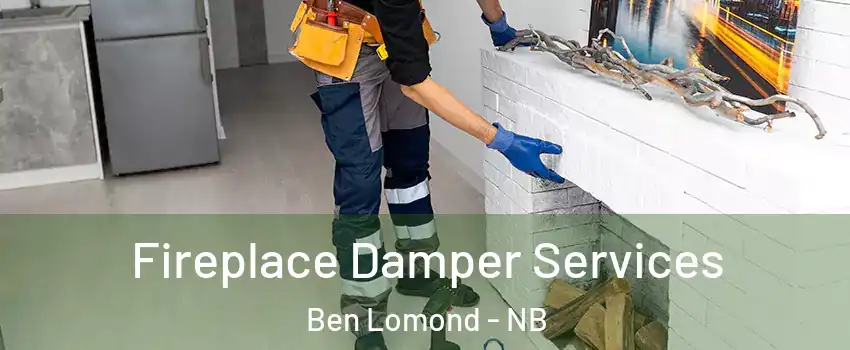 Fireplace Damper Services Ben Lomond - NB