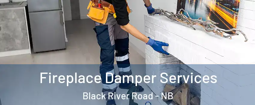 Fireplace Damper Services Black River Road - NB