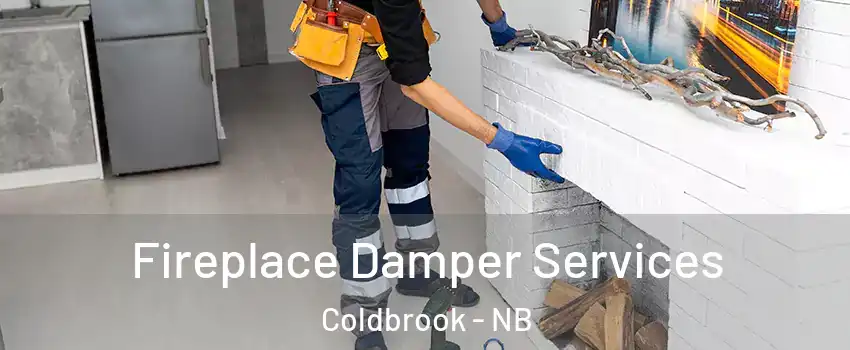 Fireplace Damper Services Coldbrook - NB