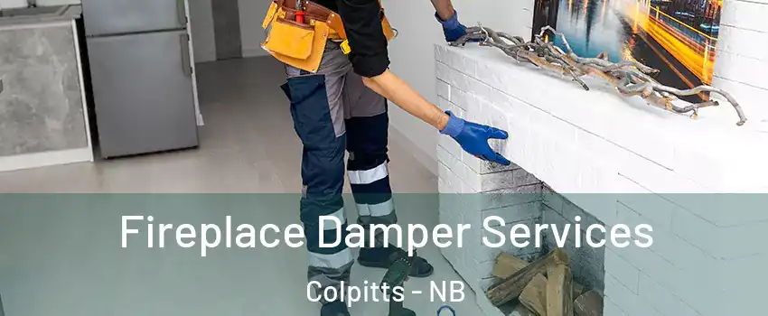  Fireplace Damper Services Colpitts - NB