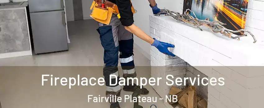 Fireplace Damper Services Fairville Plateau - NB