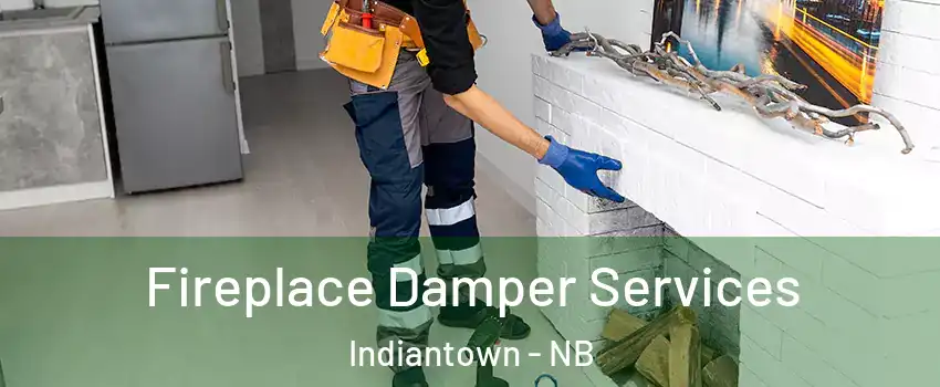 Fireplace Damper Services Indiantown - NB