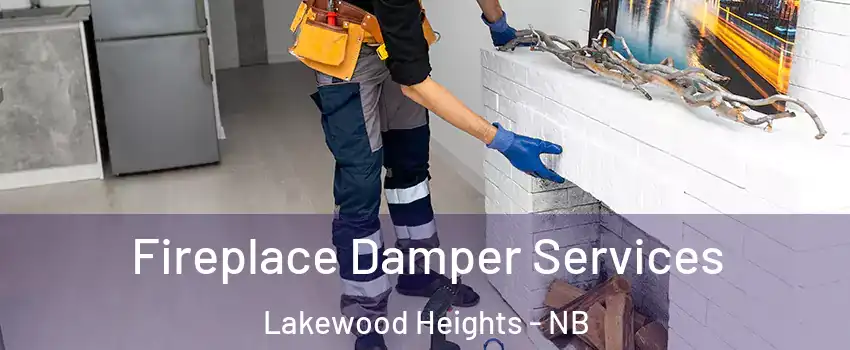 Fireplace Damper Services Lakewood Heights - NB