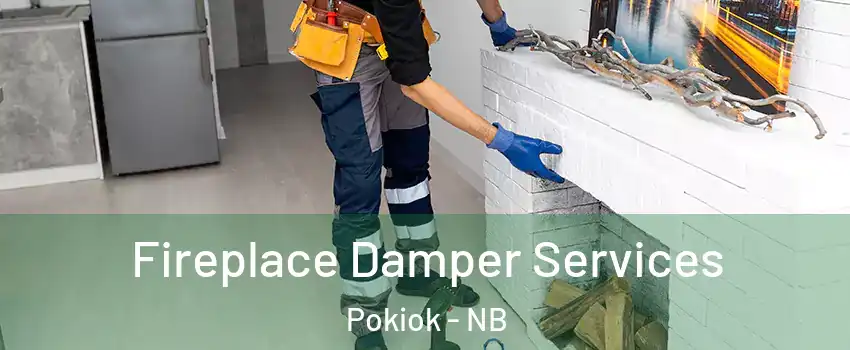  Fireplace Damper Services Pokiok - NB