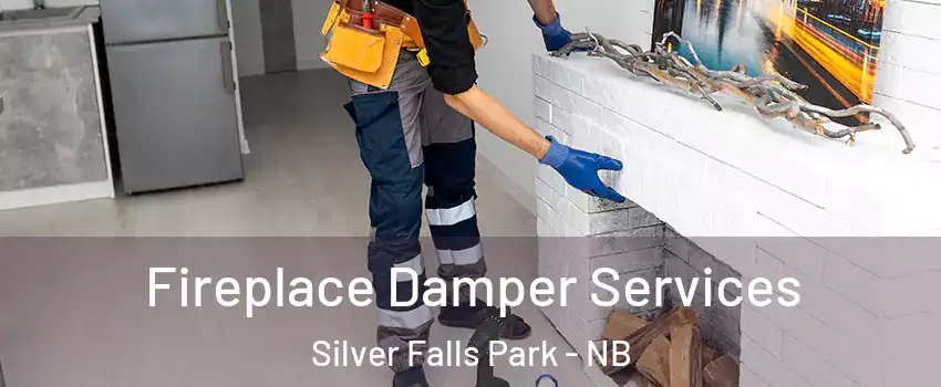Fireplace Damper Services Silver Falls Park - NB
