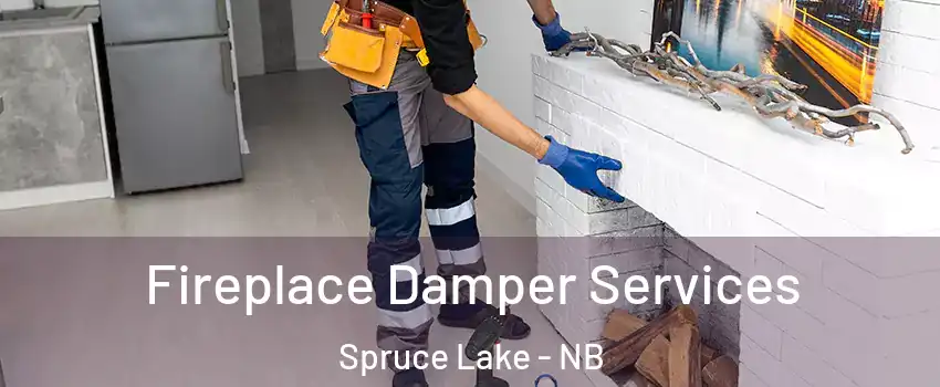 Fireplace Damper Services Spruce Lake - NB