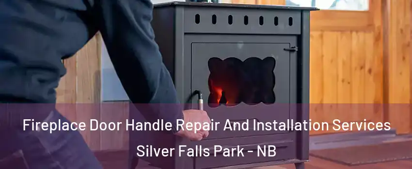 Fireplace Door Handle Repair And Installation Services Silver Falls Park - NB