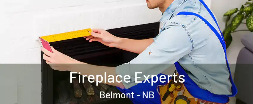  Fireplace Experts Belmont - NB