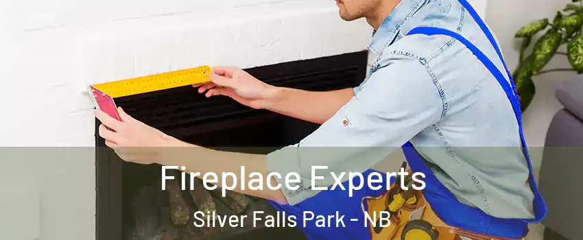 Fireplace Experts Silver Falls Park - NB