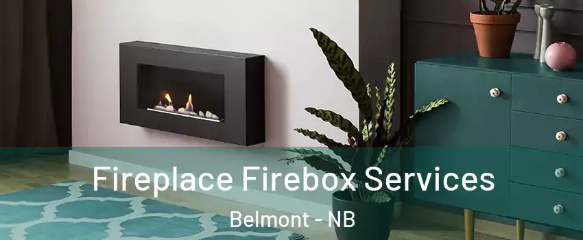  Fireplace Firebox Services Belmont - NB