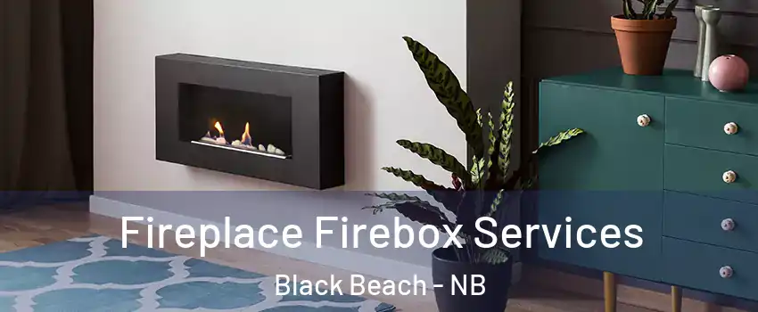  Fireplace Firebox Services Black Beach - NB