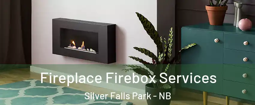 Fireplace Firebox Services Silver Falls Park - NB