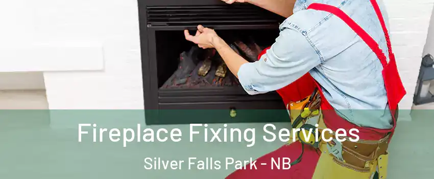  Fireplace Fixing Services Silver Falls Park - NB
