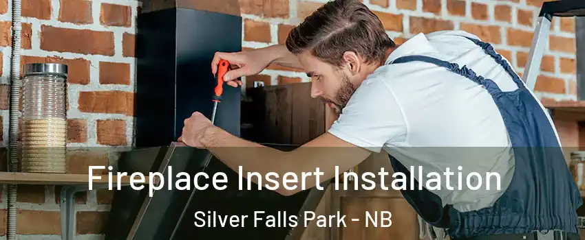 Fireplace Insert Installation Silver Falls Park - NB
