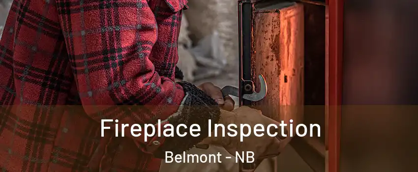  Fireplace Inspection Belmont - NB