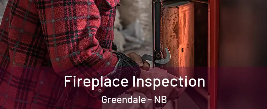  Fireplace Inspection Greendale - NB