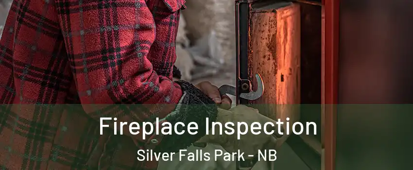  Fireplace Inspection Silver Falls Park - NB