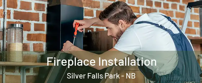  Fireplace Installation Silver Falls Park - NB