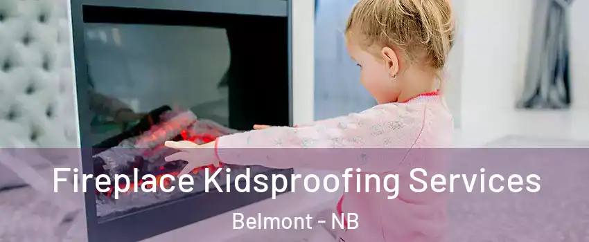  Fireplace Kidsproofing Services Belmont - NB