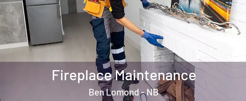  Fireplace Maintenance Ben Lomond - NB
