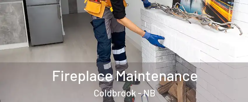  Fireplace Maintenance Coldbrook - NB