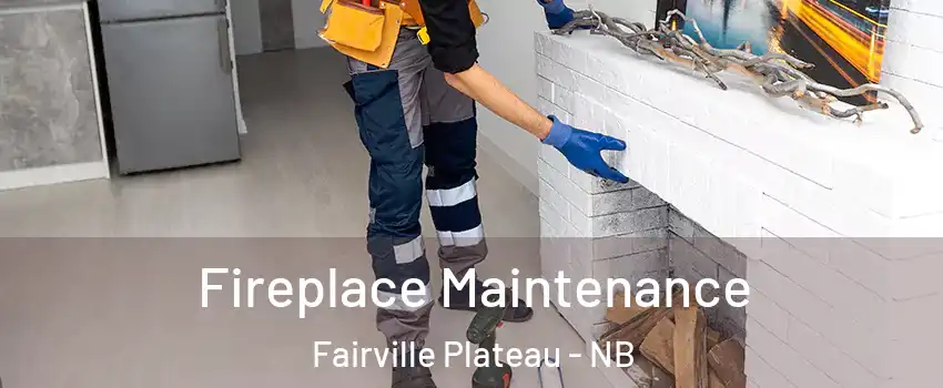 Fireplace Maintenance Fairville Plateau - NB
