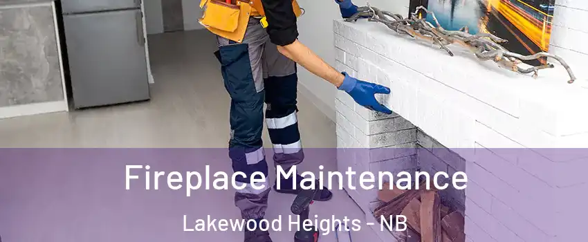  Fireplace Maintenance Lakewood Heights - NB