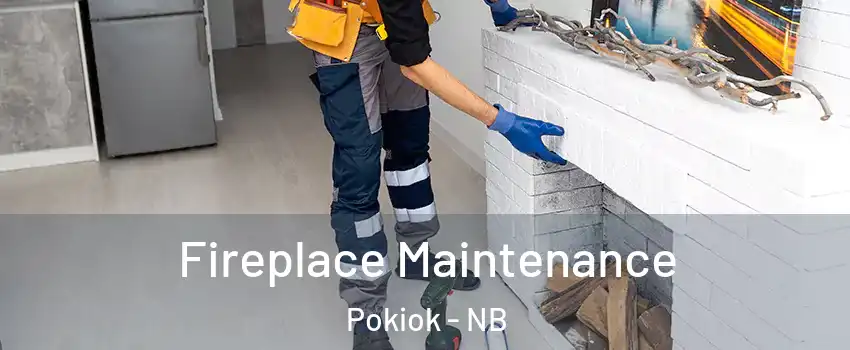  Fireplace Maintenance Pokiok - NB