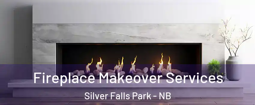 Fireplace Makeover Services Silver Falls Park - NB