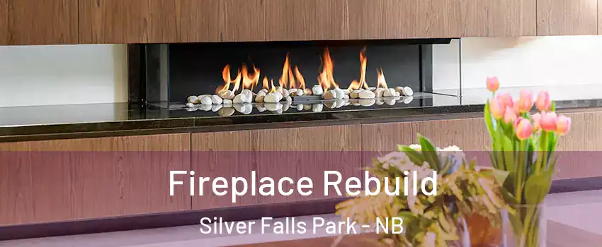  Fireplace Rebuild Silver Falls Park - NB