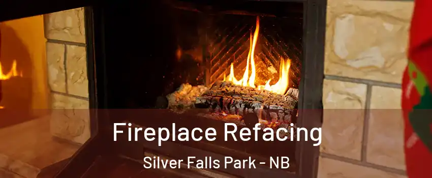  Fireplace Refacing Silver Falls Park - NB