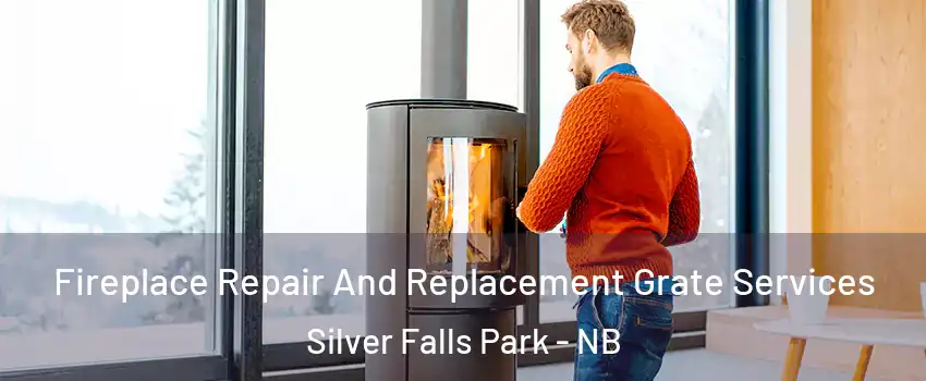  Fireplace Repair And Replacement Grate Services Silver Falls Park - NB