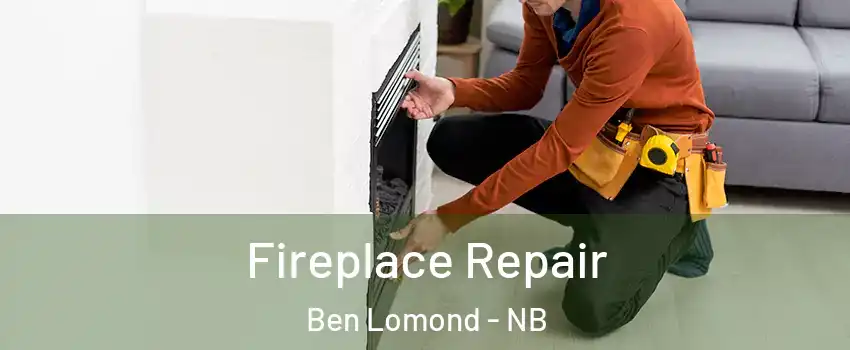  Fireplace Repair Ben Lomond - NB
