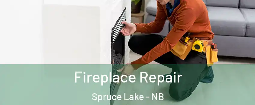  Fireplace Repair Spruce Lake - NB