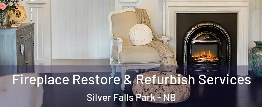 Fireplace Restore & Refurbish Services Silver Falls Park - NB