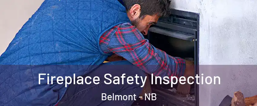  Fireplace Safety Inspection Belmont - NB