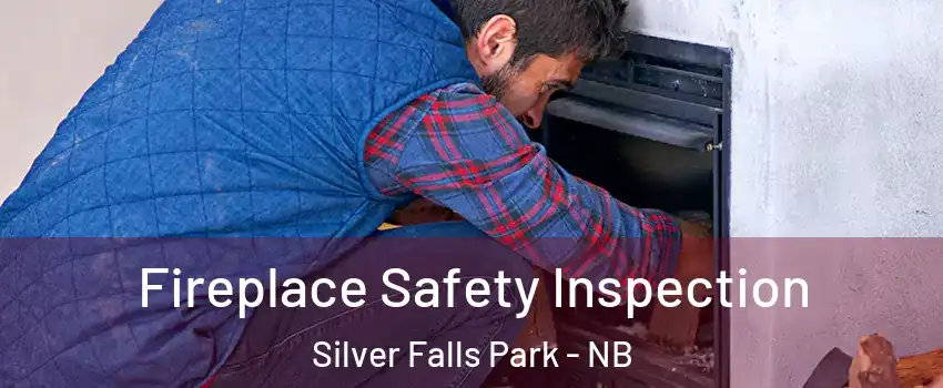 Fireplace Safety Inspection Silver Falls Park - NB