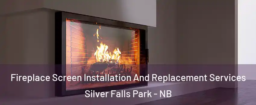 Fireplace Screen Installation And Replacement Services Silver Falls Park - NB