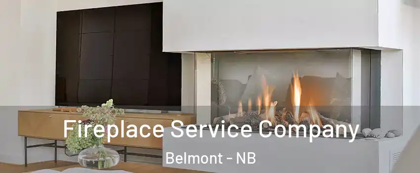  Fireplace Service Company Belmont - NB