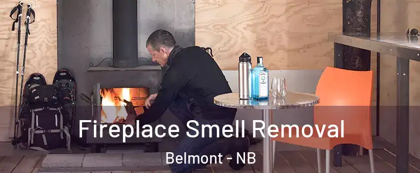  Fireplace Smell Removal Belmont - NB