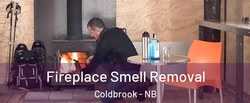  Fireplace Smell Removal Coldbrook - NB