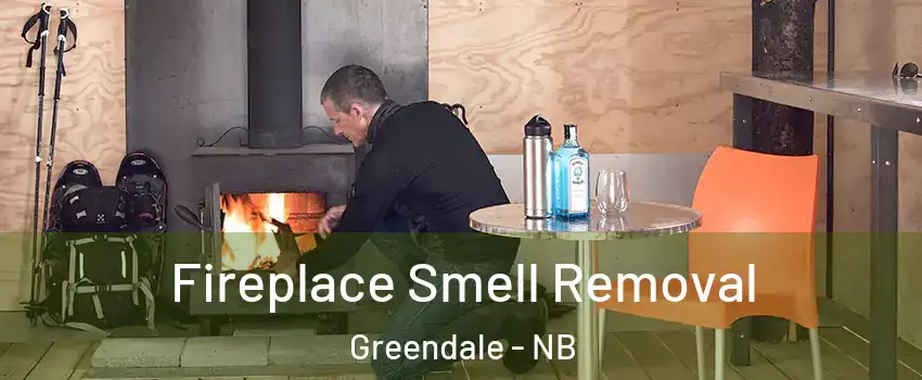  Fireplace Smell Removal Greendale - NB
