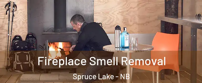  Fireplace Smell Removal Spruce Lake - NB
