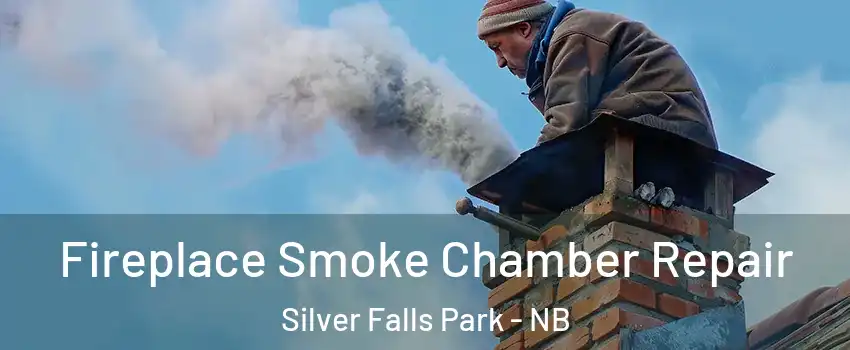  Fireplace Smoke Chamber Repair Silver Falls Park - NB