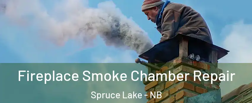  Fireplace Smoke Chamber Repair Spruce Lake - NB