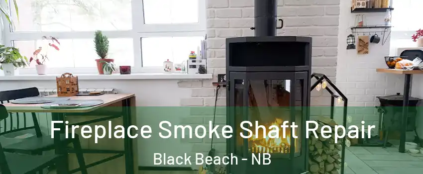  Fireplace Smoke Shaft Repair Black Beach - NB