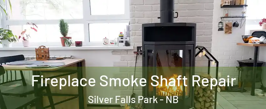 Fireplace Smoke Shaft Repair Silver Falls Park - NB