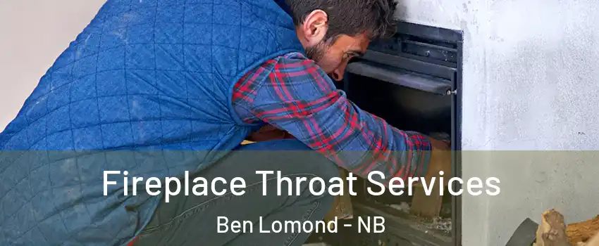  Fireplace Throat Services Ben Lomond - NB